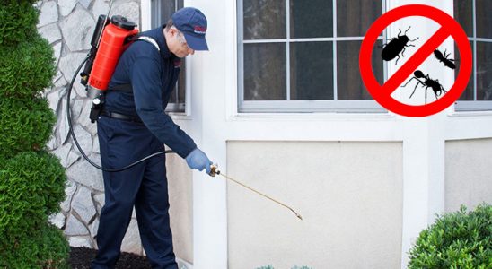 Felahiye Kene İlaçlama böcek ilaçlama ve haşere kontrolü — ilaclama-tr.com